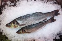 Von Aal bis Zander – entdecken Sie unser großes Sortiment an Fischfeinkost